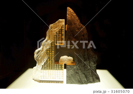 台湾の 展示 静物 31605070