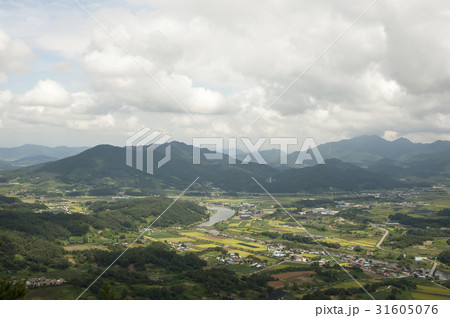 雲 木 村 31605076