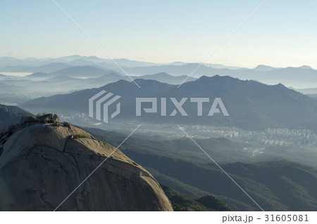 木 北朝鮮産 水落山 31605081