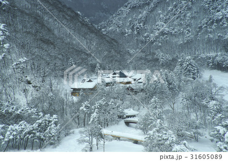 冬 国立公園 雪景色 31605089