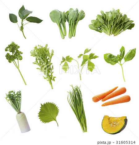 野菜 野菜 31605314