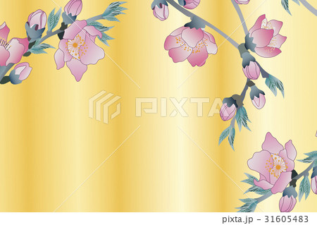 桃の花 桃の花 31605483