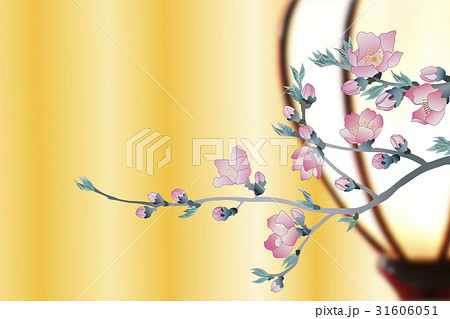 ひな祭り 31606051