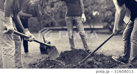 Group of Diverse People Digging Hole Planting Tree Together 31608013