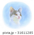 子猫 31611285