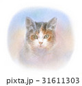 見つめる三毛猫 31611303