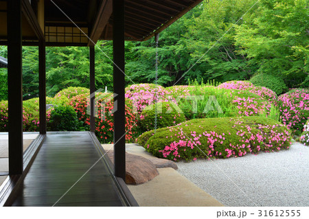 丈山苑　詩泉閣　南庭 31612555