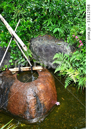 丈山苑 詩泉閣 南庭 丈山苑 詩泉閣 南庭 31612568