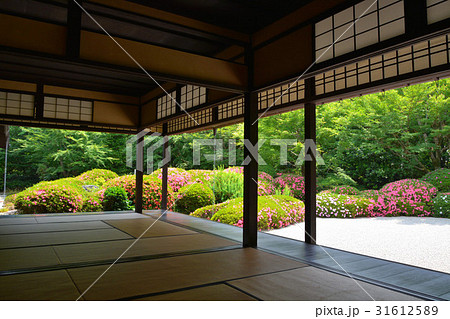 丈山苑　詩泉閣　南庭 31612589
