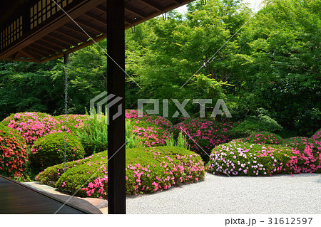 丈山苑 詩泉閣 南庭 丈山苑 詩泉閣 南庭 31612597