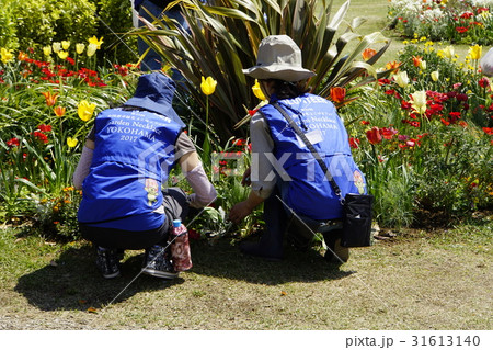 公園の管理　ボランティア 31613140
