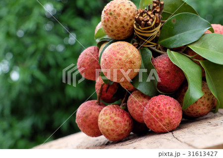 Vietnam fruit, litchi or lychee 31613427