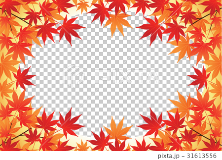秋天的樹葉背景 31613556