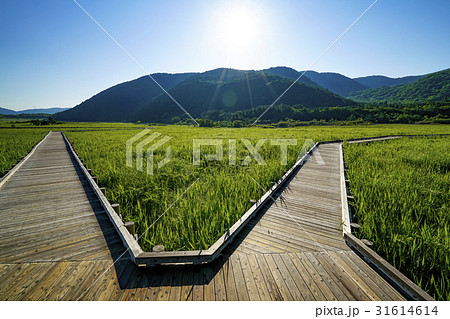 たで原湿原 たで原湿原 31614614