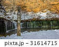 北軽井沢　白糸の滝 31614715