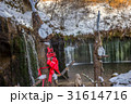 北軽井沢　白糸の滝　クリスマス　木で作られた人形　かかし 31614716