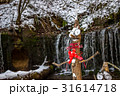北軽井沢　白糸の滝　クリスマス　木で作られた人形　かかし 31614718