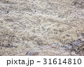 岩の表面のテクスチャ 31614810