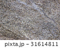 岩の表面のテクスチャ 31614811