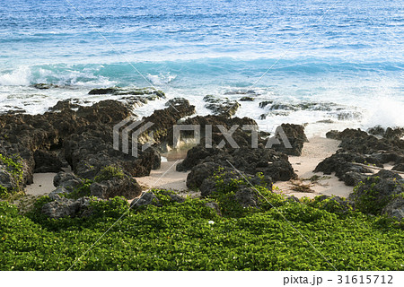 海 海事 海軍 31615712