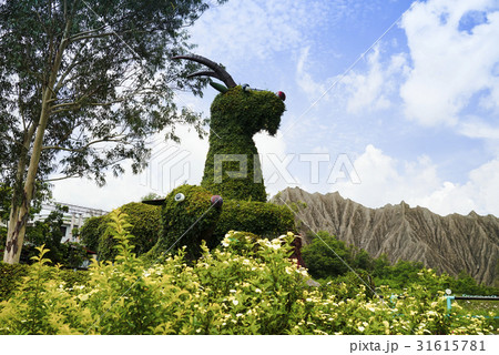 景色 風景 アジア人 31615781