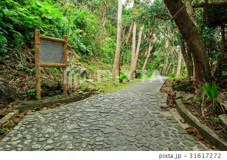 沖縄　与那国島のティンダバナ 31617272