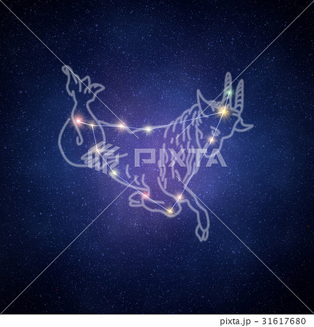 やぎ座 31617680