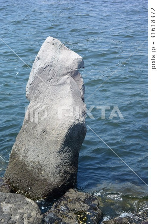 若洲海浜公園　堤防巨石 31618372