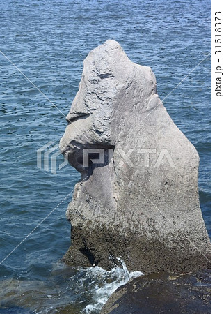 若洲海浜公園　堤防巨石 31618373