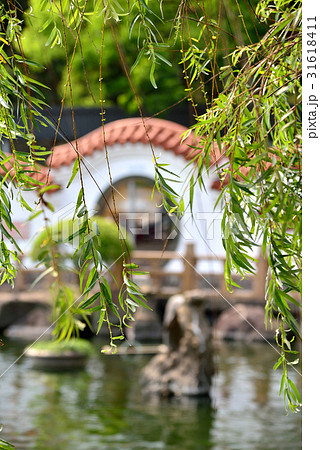 池 溜池 池底 31618411