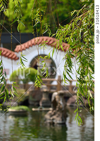 池 溜池 池底 31618413