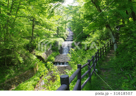 牛伏川フランス式階段工と遊歩道　長野県松本市にある明治時代に建造した砂防施設　国重要文化財 31618507