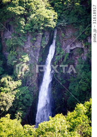 西椎屋の滝 西椎屋の滝 31618917