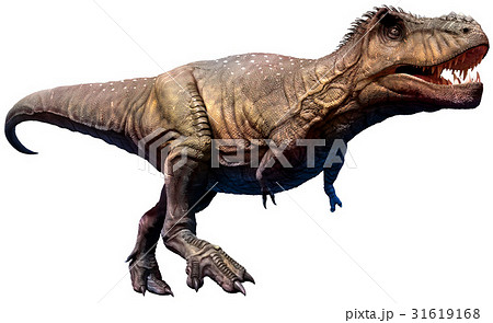 Tyrannosaurus 31619168