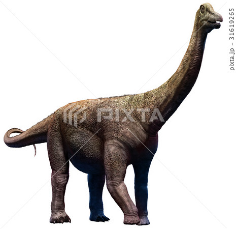 Saltasaurus  31619265