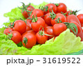 ミニトマト2 ミニトマト2 31619522
