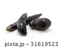 なすび なすび 31619523
