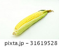 トウモロコシ1 トウモロコシ1 31619528