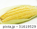 トウモロコシ2 トウモロコシ2 31619529