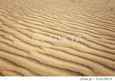 Lines in the sand of a beach, close up Lines in the sand of a beach, close up 31619614