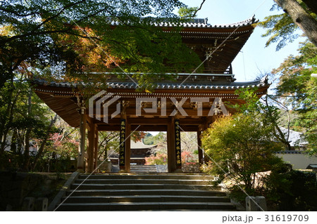 功山寺山門の紅葉 功山寺山門の紅葉 31619709