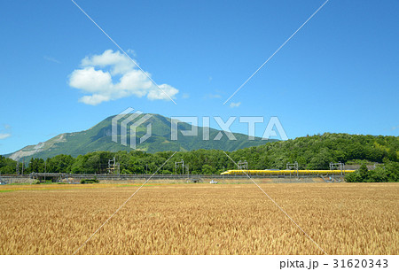 Doctor Yellow 31620343