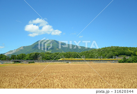 Doctor Yellow Doctor Yellow 31620344