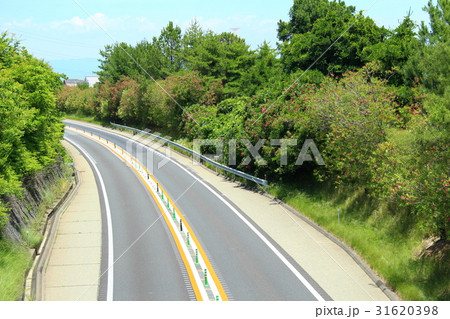 京奈和道路 京奈和道路 31620398