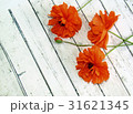 poppy flowers on a wooden table, rustic background 31621345