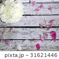 Scenic wooden background with white peony flower  31621446