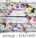 Bellflower flowers, wild rose and pink petals  31621449