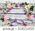 Bellflower flowers, wild rose and pink petals  31621450
