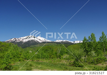 信州の高原　乗鞍高原より乗鞍岳を望む　標高約３０００ｍで２０を超える峰で構成される活火山 31621527