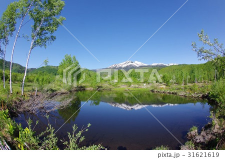 信州の高原　乗鞍高原のオソメ池と乗鞍岳　超広角　標高約３０００ｍで２０を超える峰で構成される活火山 31621619